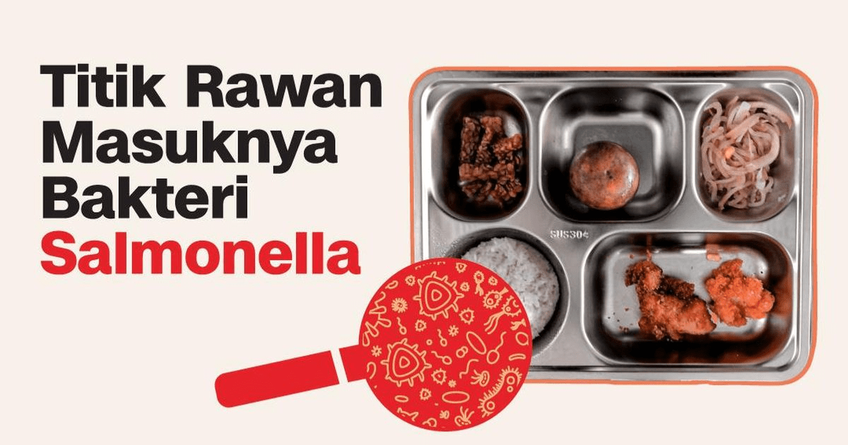 Mengenal Bakteri Salmonella dan Jalurnya ke Makanan