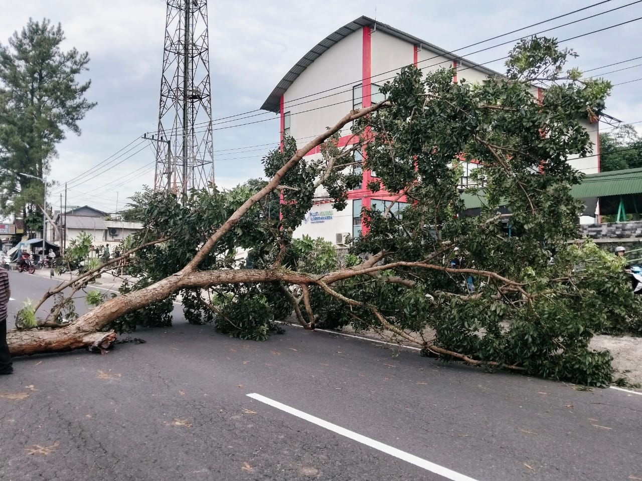 Tren Bencana Hidrometeorologi Magelang: Fakta dan Solusi