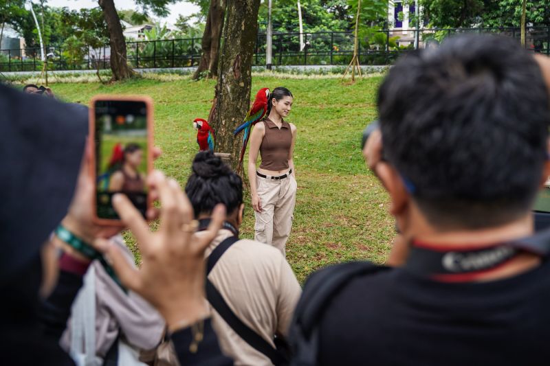 IAPVC 2026: Fotografi Satwa Mengungkap Kisah Alam