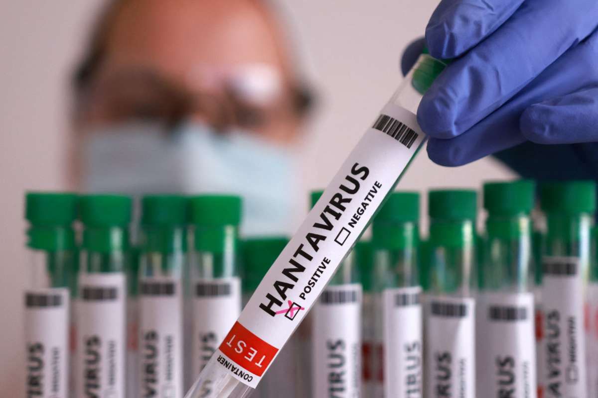 Waspadai Gejala Hantavirus: Apa Yang Perlu Anda Ketahui